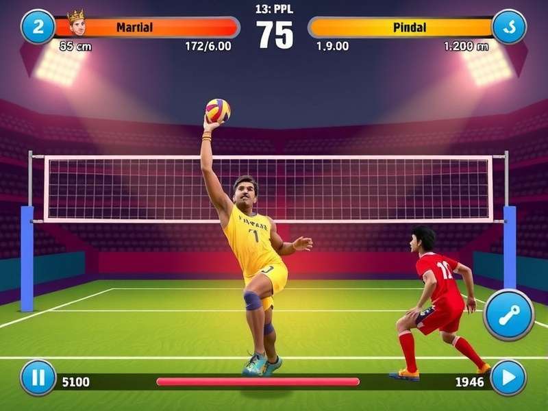 Bharat Volley Kings download statistics graph